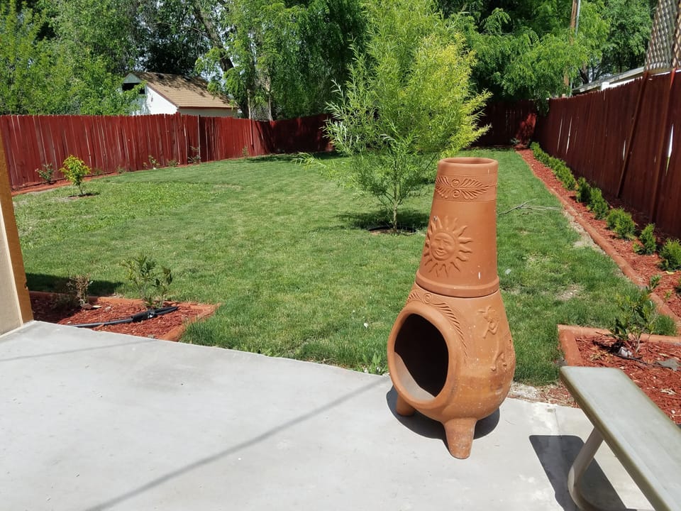 back yard