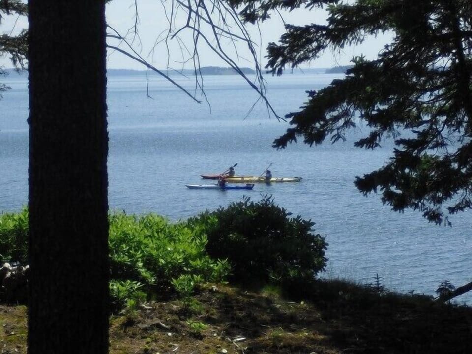 Kayaking - view from deck