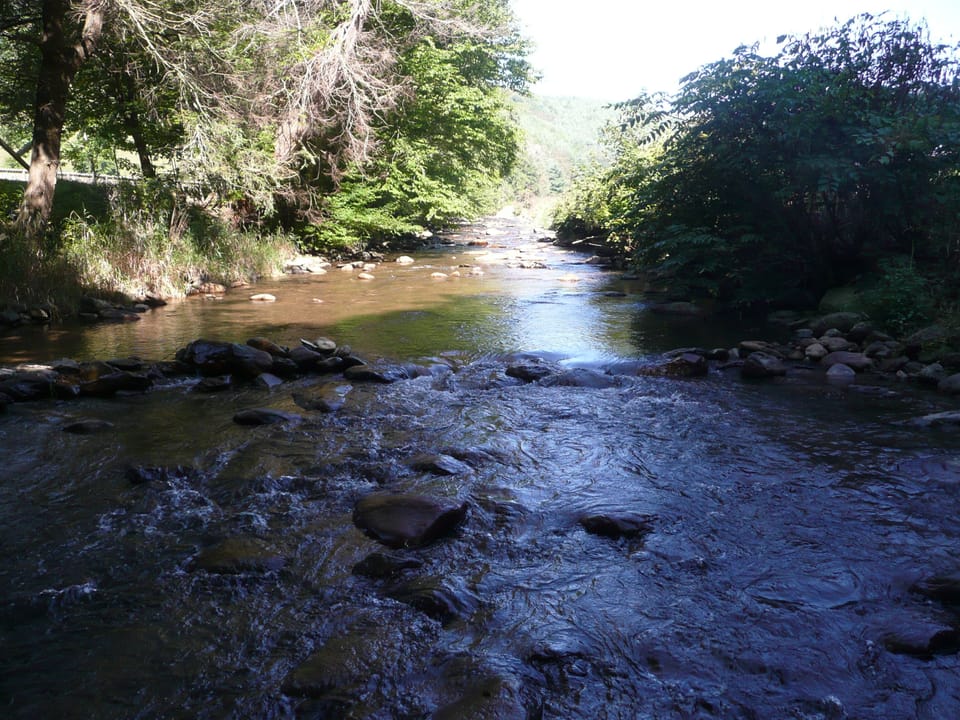 Helton Creek near Guest Cabin