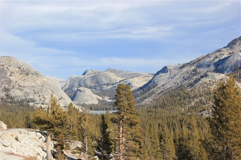 Looking toward Lake Tenaya from within Yosemite (1 hour drive via Tioga Pass). 