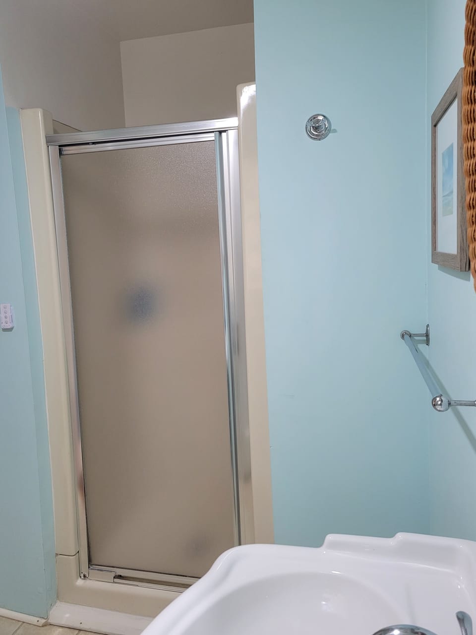 downstairs bathroom shower