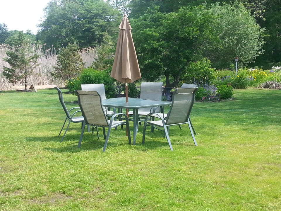 There is a large back yard with a table for you to use