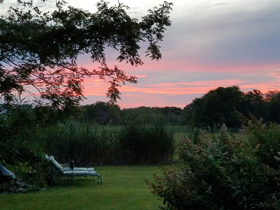 The back yard is large and peaceful with a marsh view.