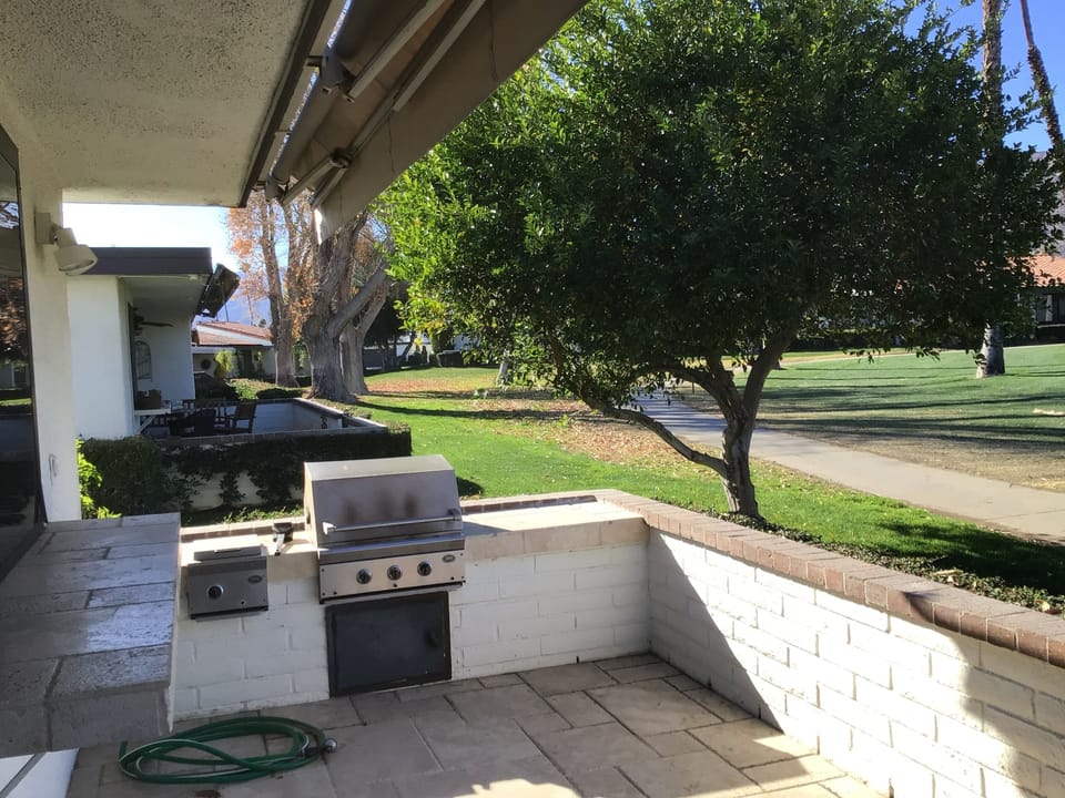 Gas grill on patio.  Key lime tree!