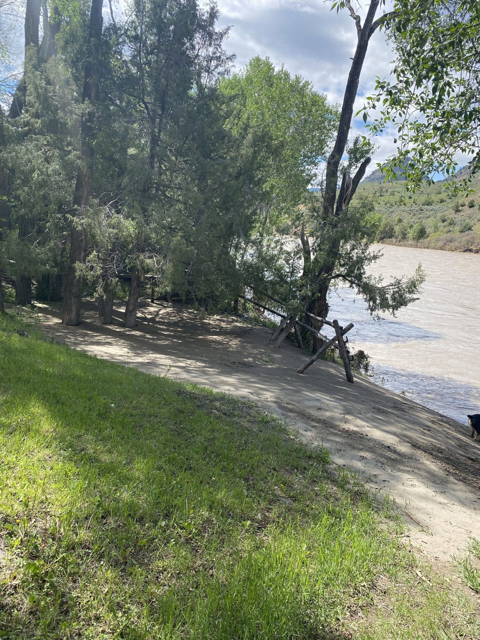 The June 13, 2022, Yellowstone River record flood left us a new sand bar!