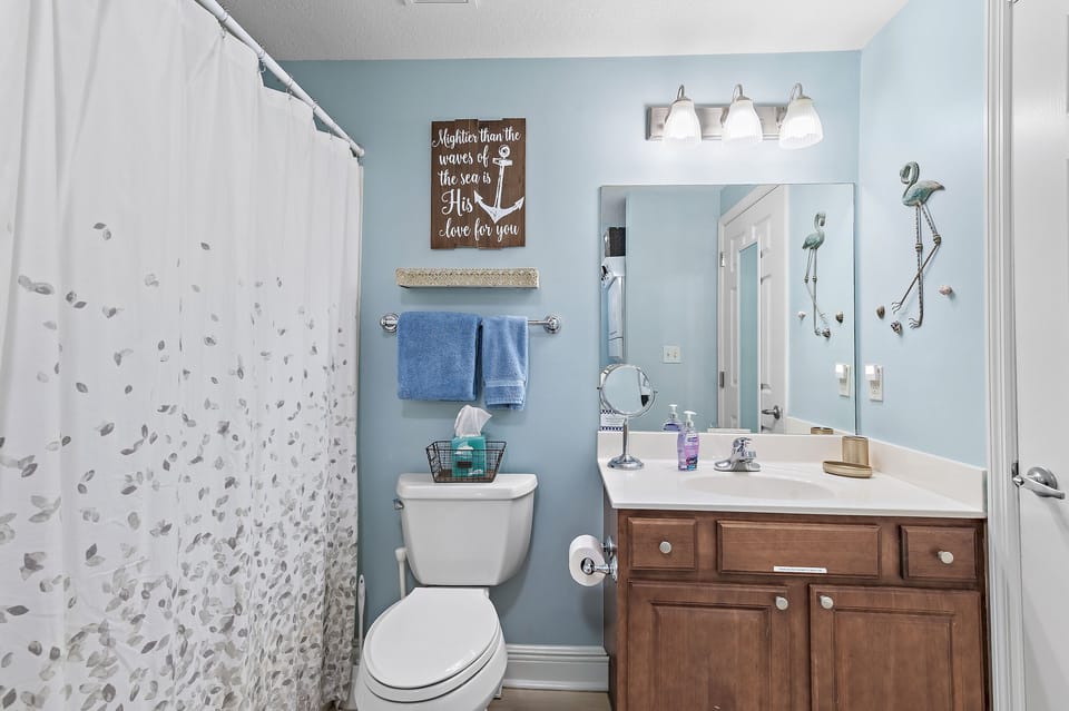 Full bath with shower and tub. Featuring detachable shower wand