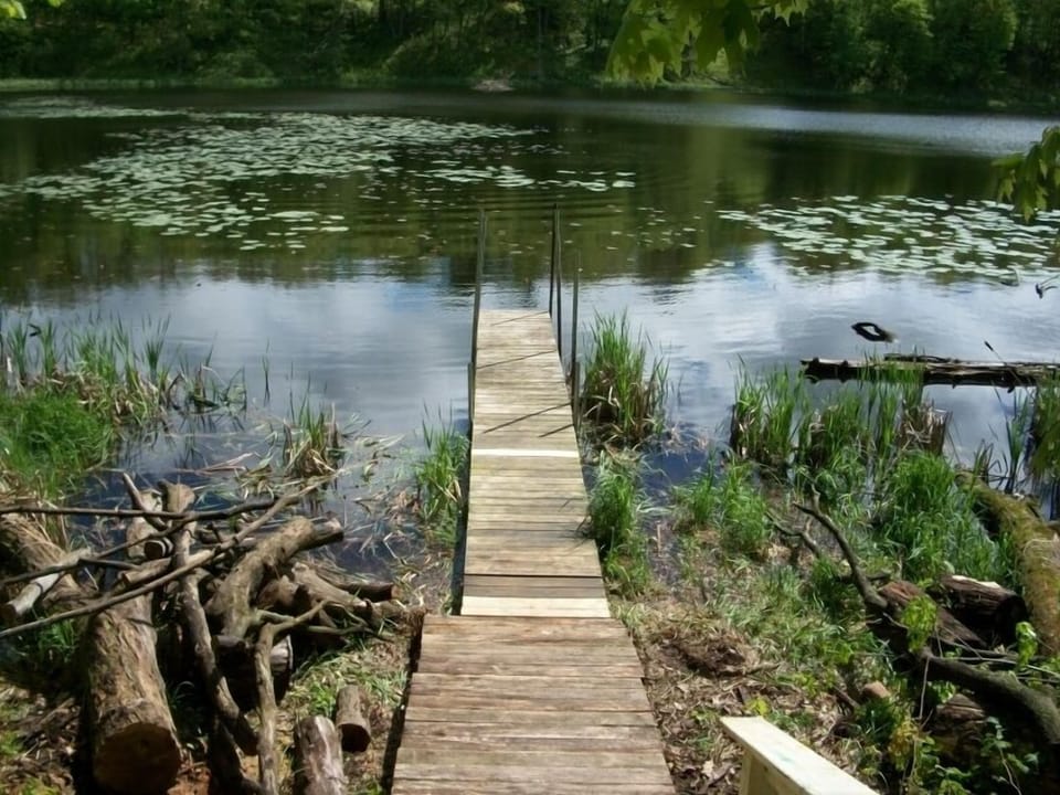 Dock to the Lake!