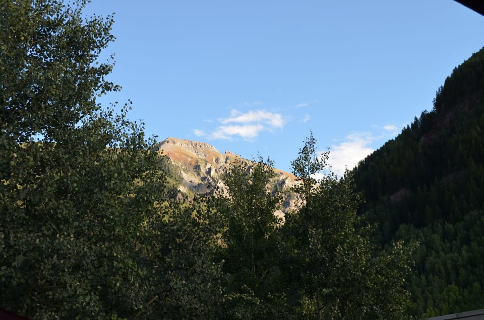 Summer View