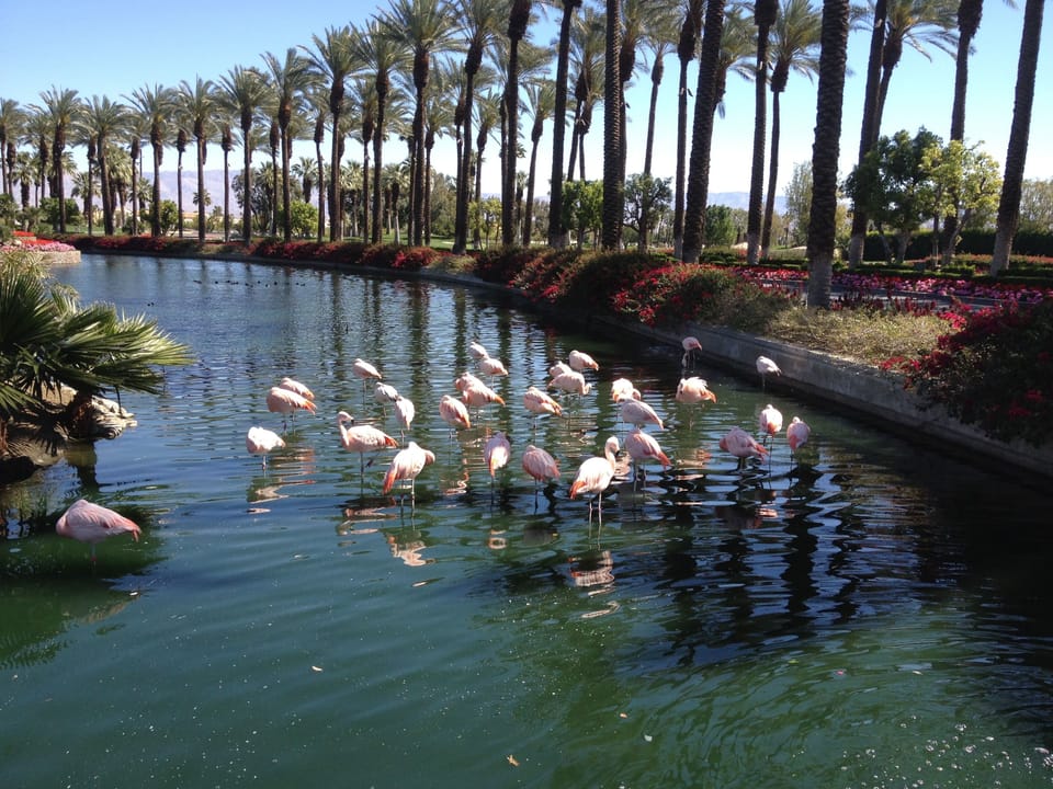 Few 'friends' hanging out at the beautiful RIVER shopping center