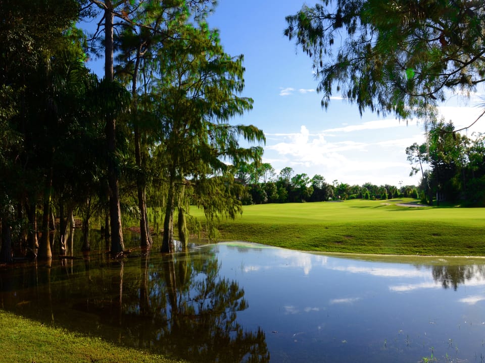 The 8th Fairway