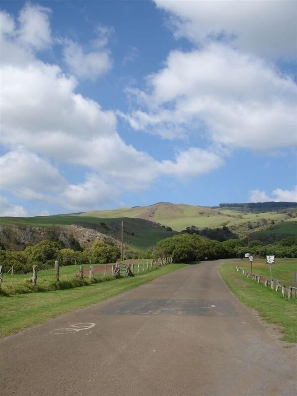 Take a drive to Waimea, or visit the Volcano. There is lots to do and see!
