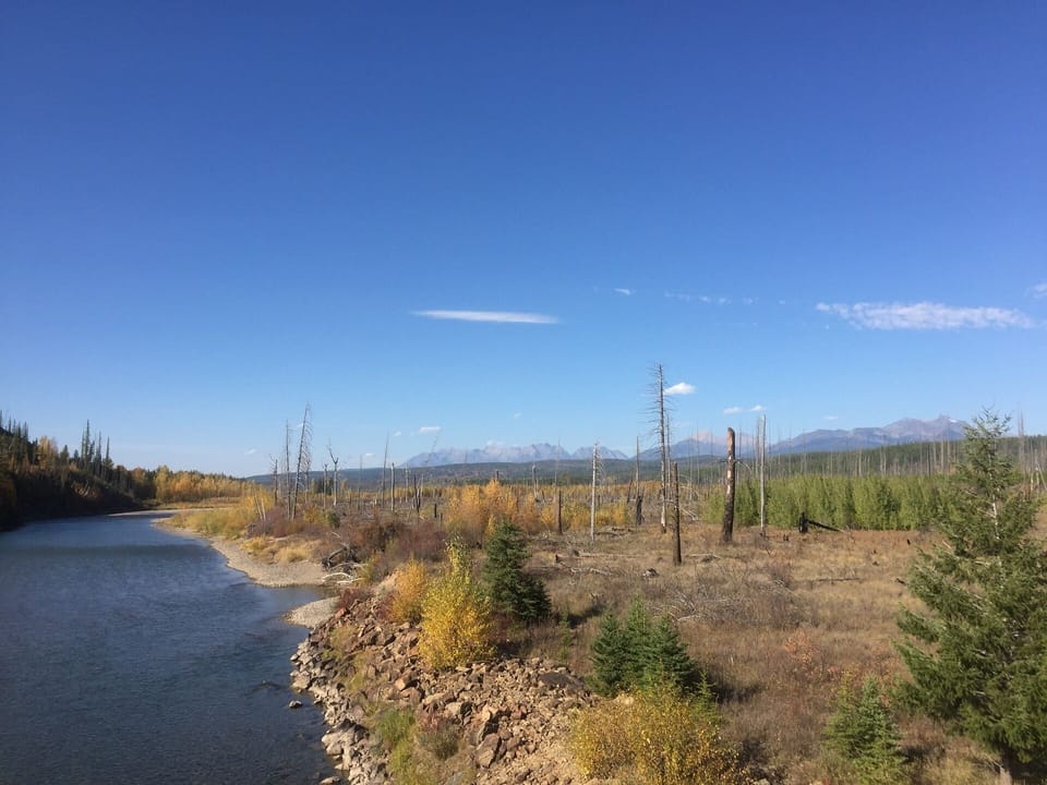 Northfork road not far from Reclusive Moose