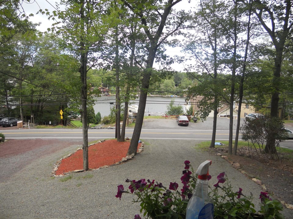 View from deck area