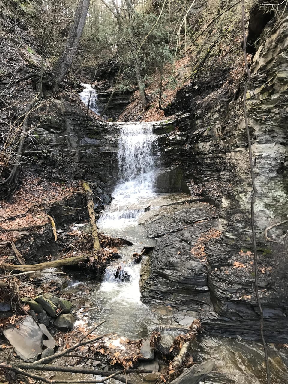 One of 2 ravines on the property