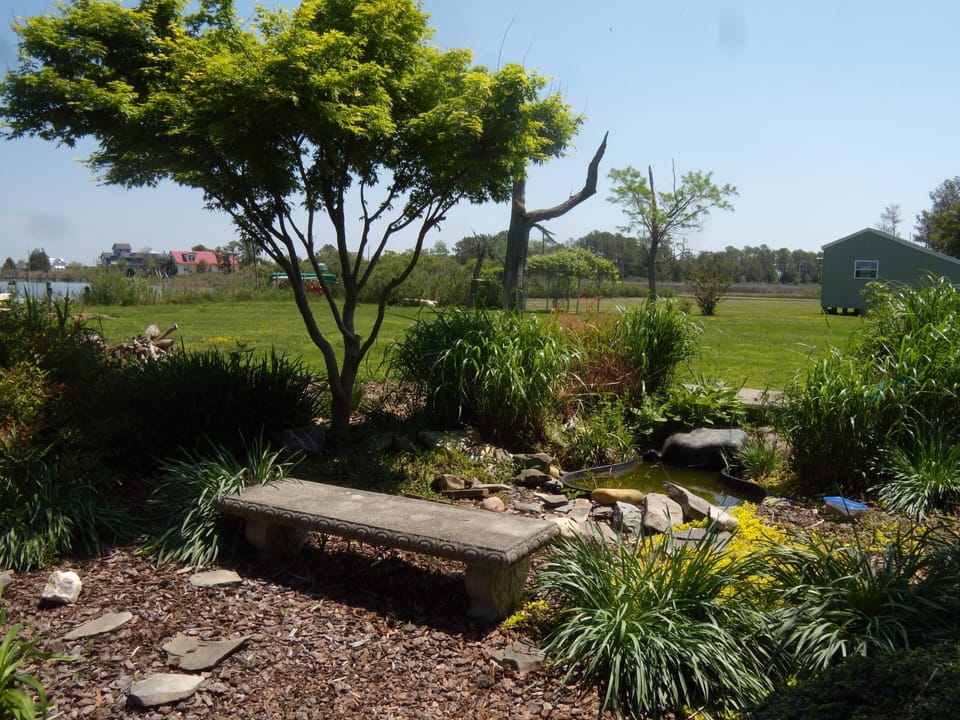 Fish pond