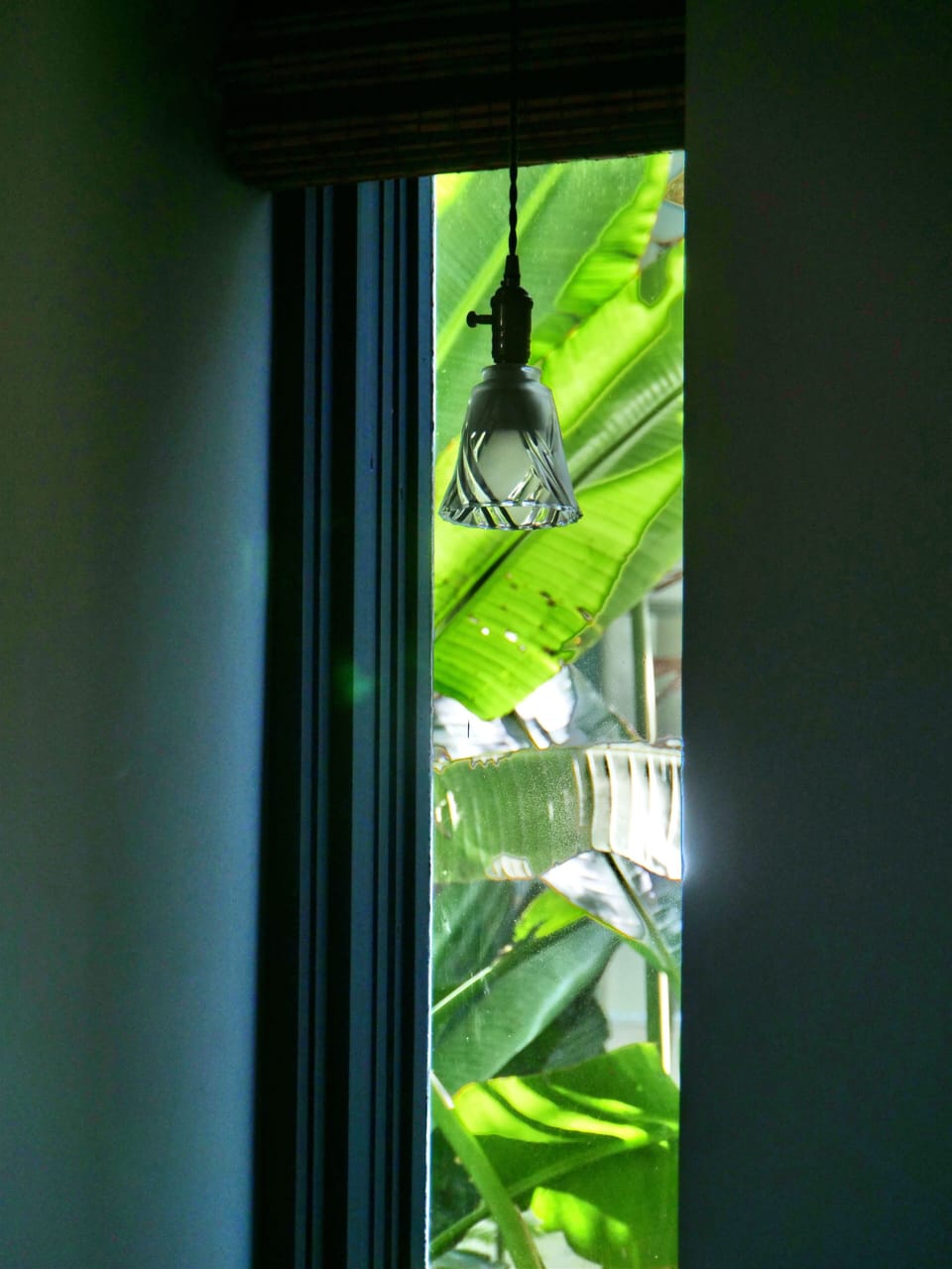 west window of living room