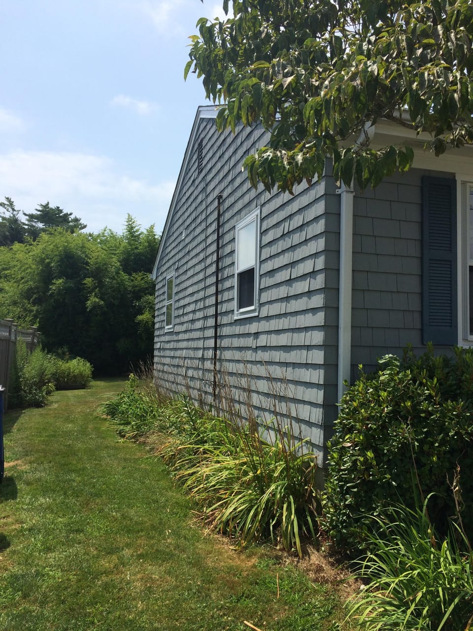 Side yard