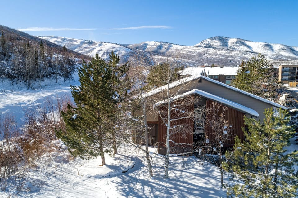 Our building with the ski slopes in the background