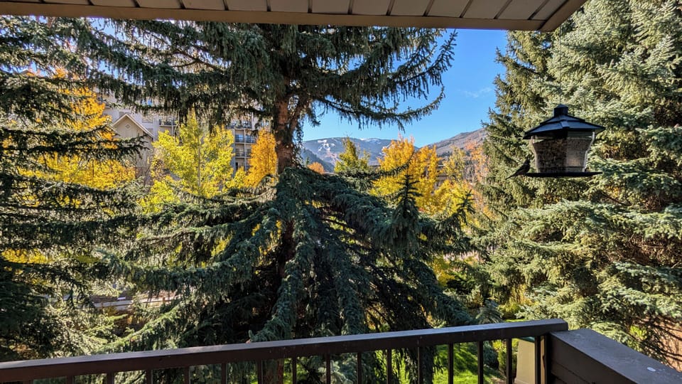 View from balcony