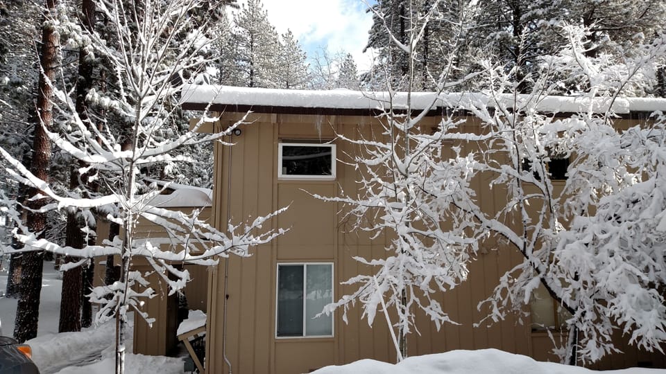 Come Enjoy the Snow