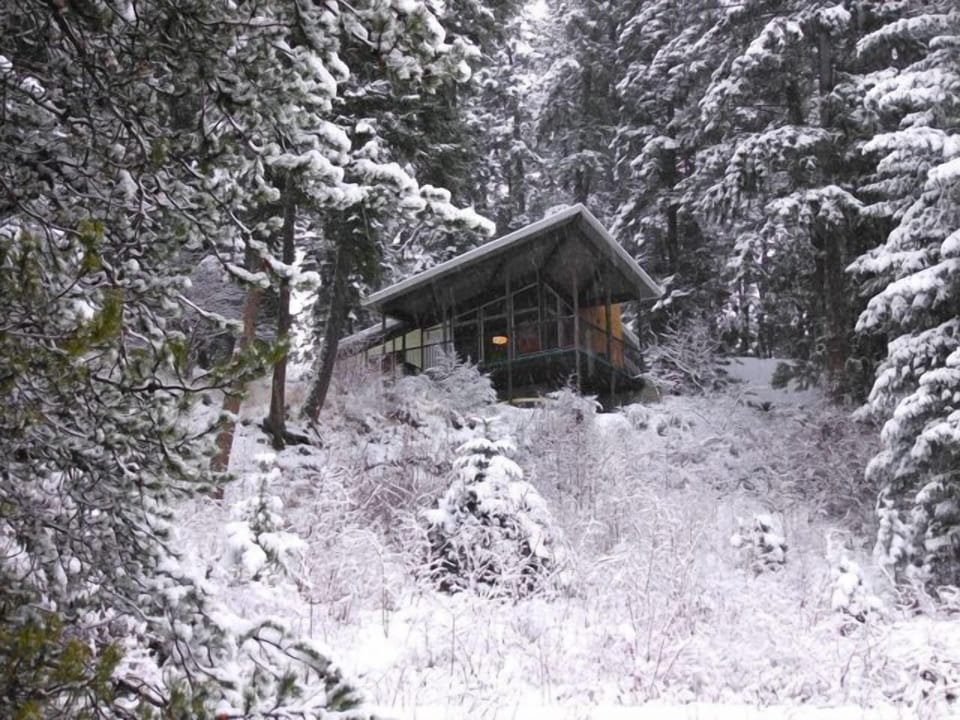 Winter Wonderland
