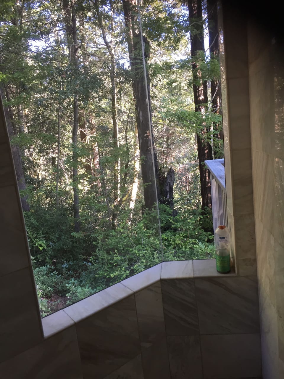 View from the master bath shower