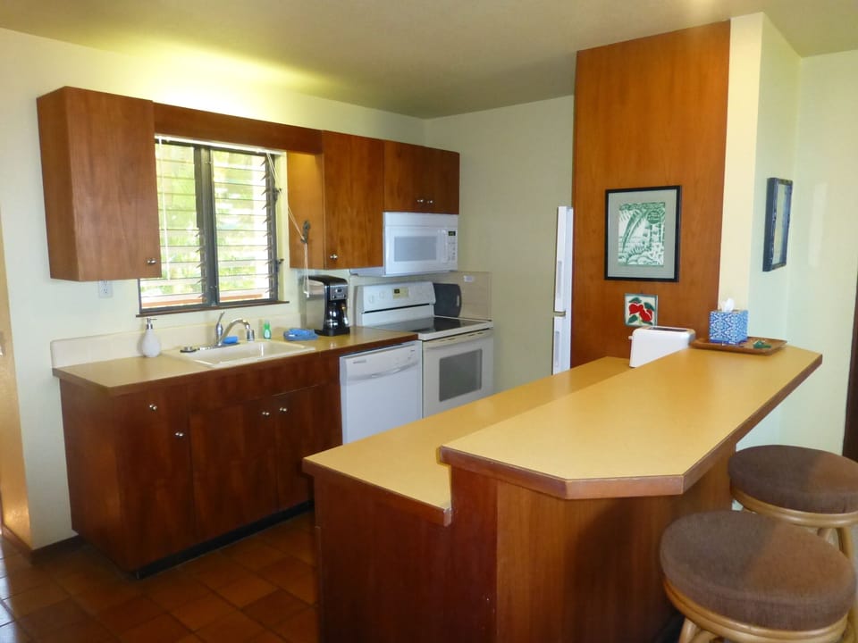 Kitchen and raised bar area