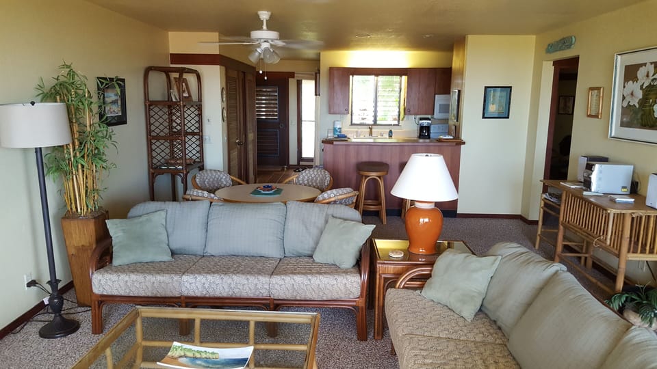 View from front lanai looking in