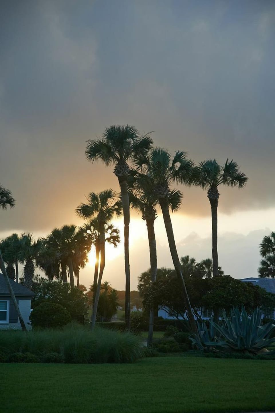 Sunset view: Just past the trees is the 3rd hole of PV Inn & Club Lagoon course!