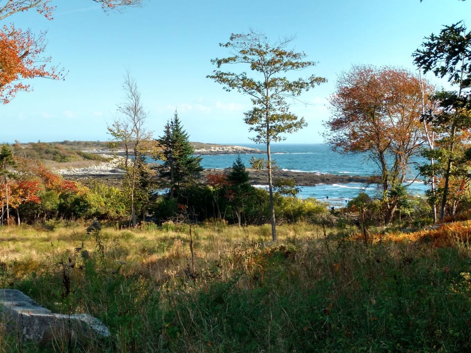 Exploring Wreck Cove