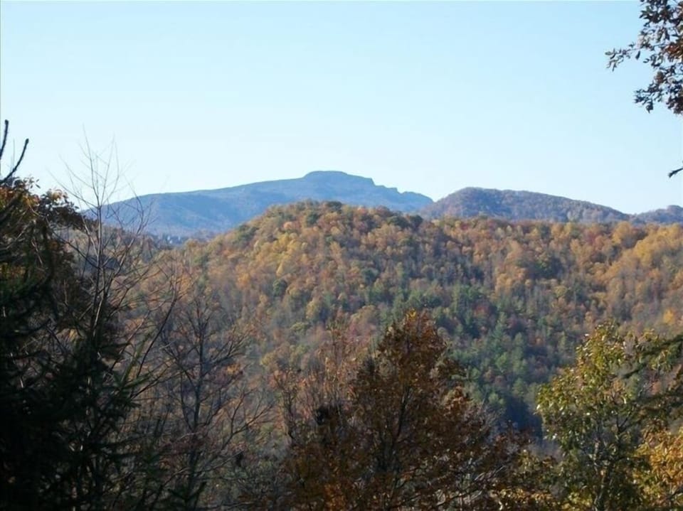 View from "Owls Roost"