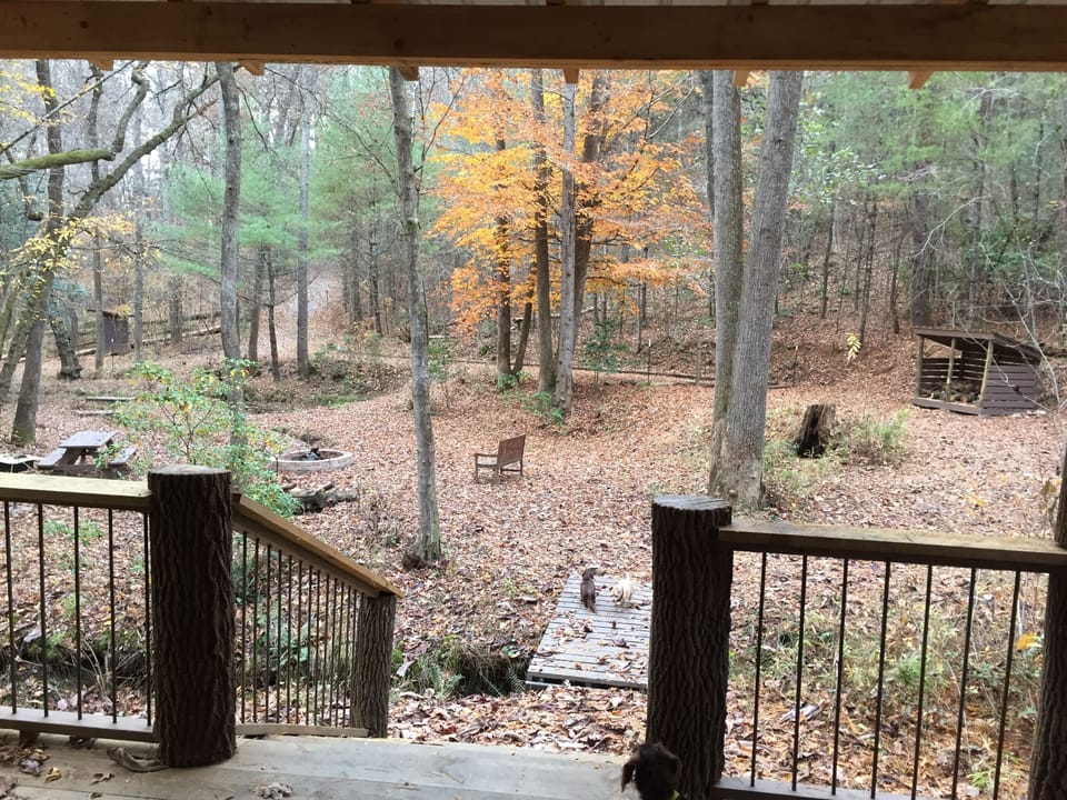 Fall view from the shelter of the overall main area; 12 acres of total privacy