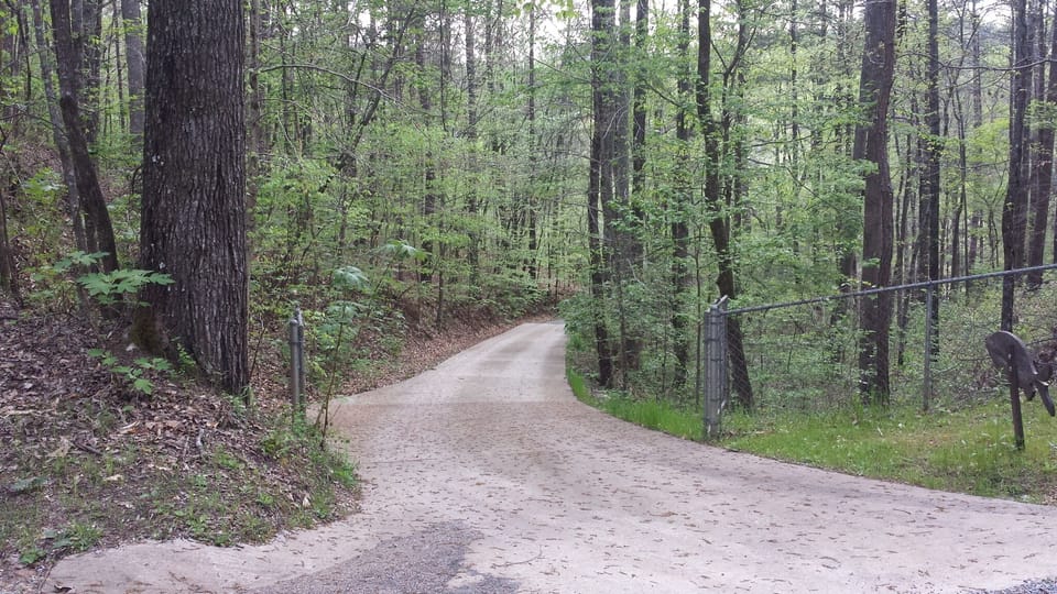 Driveway looking toward road