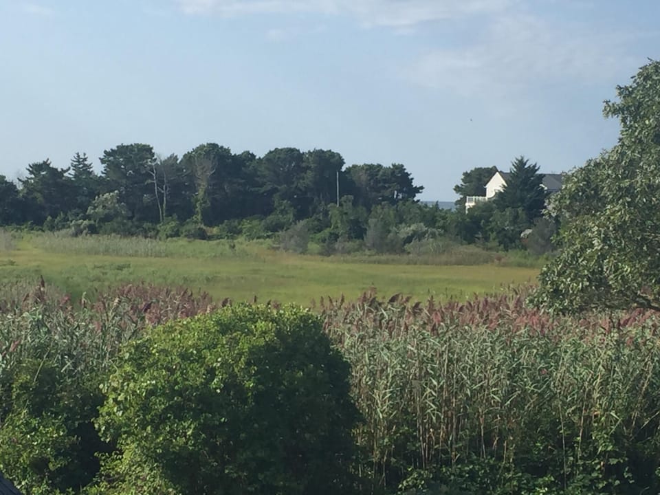Across the marsh to the ocean