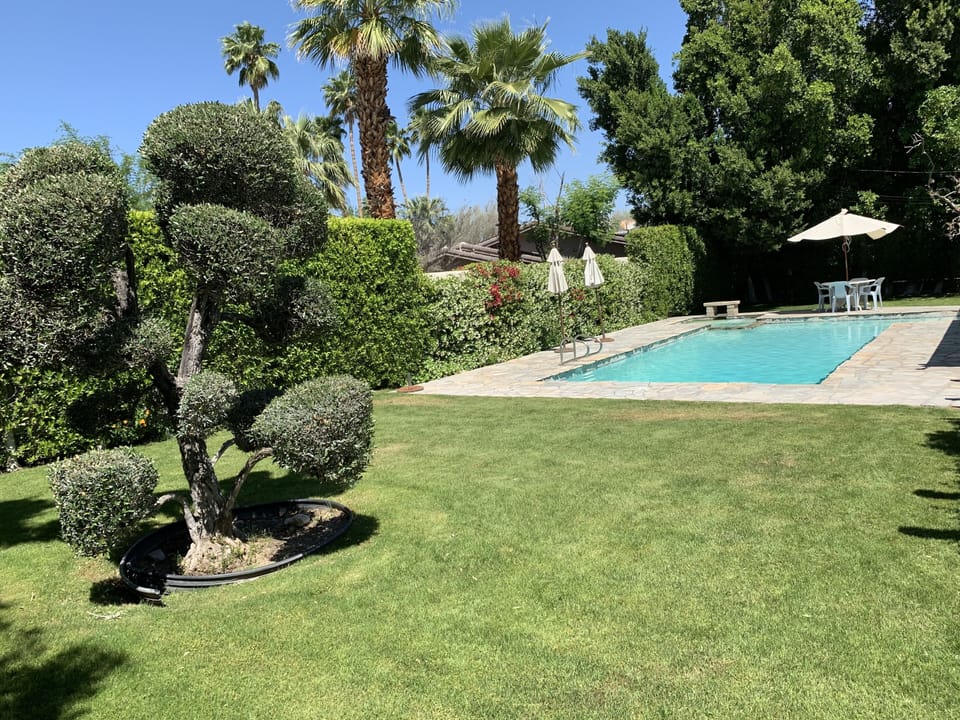 Private and spacious back yard 
