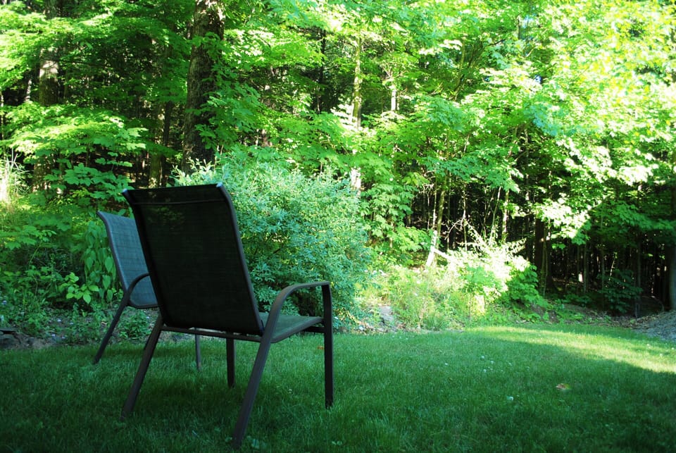 The backyard fire pit area is a quiet, wooded retreat from downtown Benezette