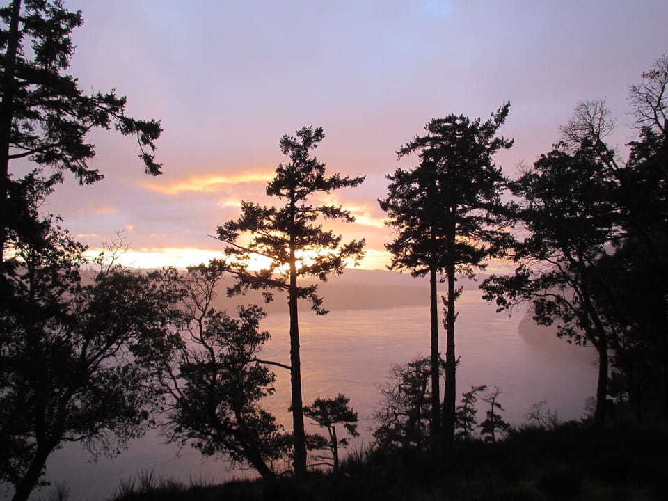 Misty Sunset 
