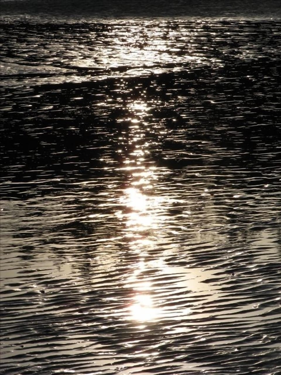 The Shimmering Water as the Sun Sets