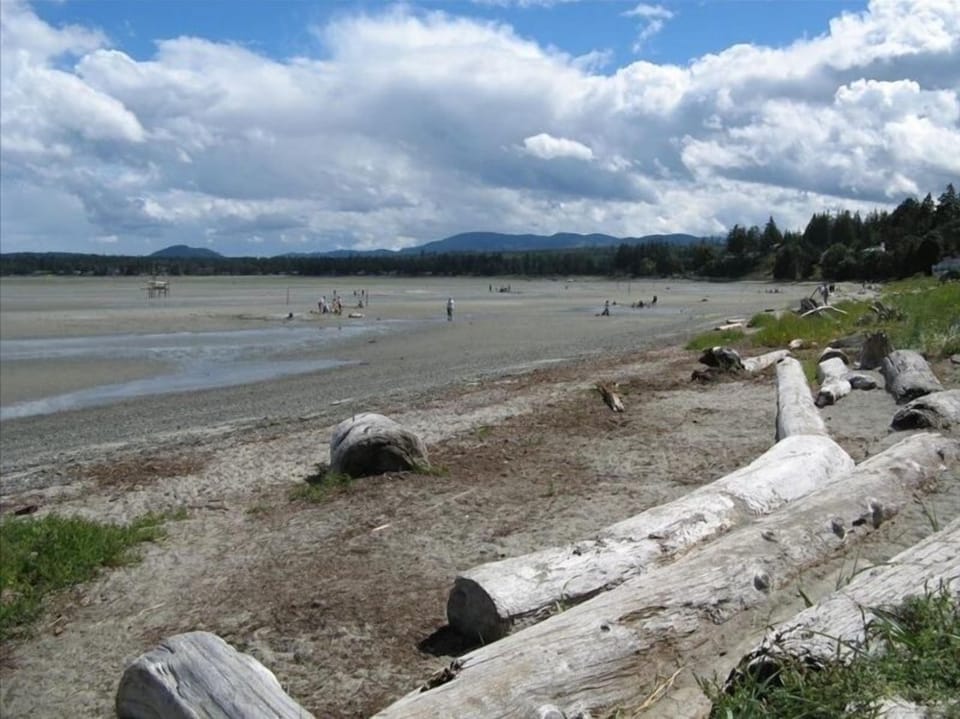 Southerly view of the beach directly in front of the complex.