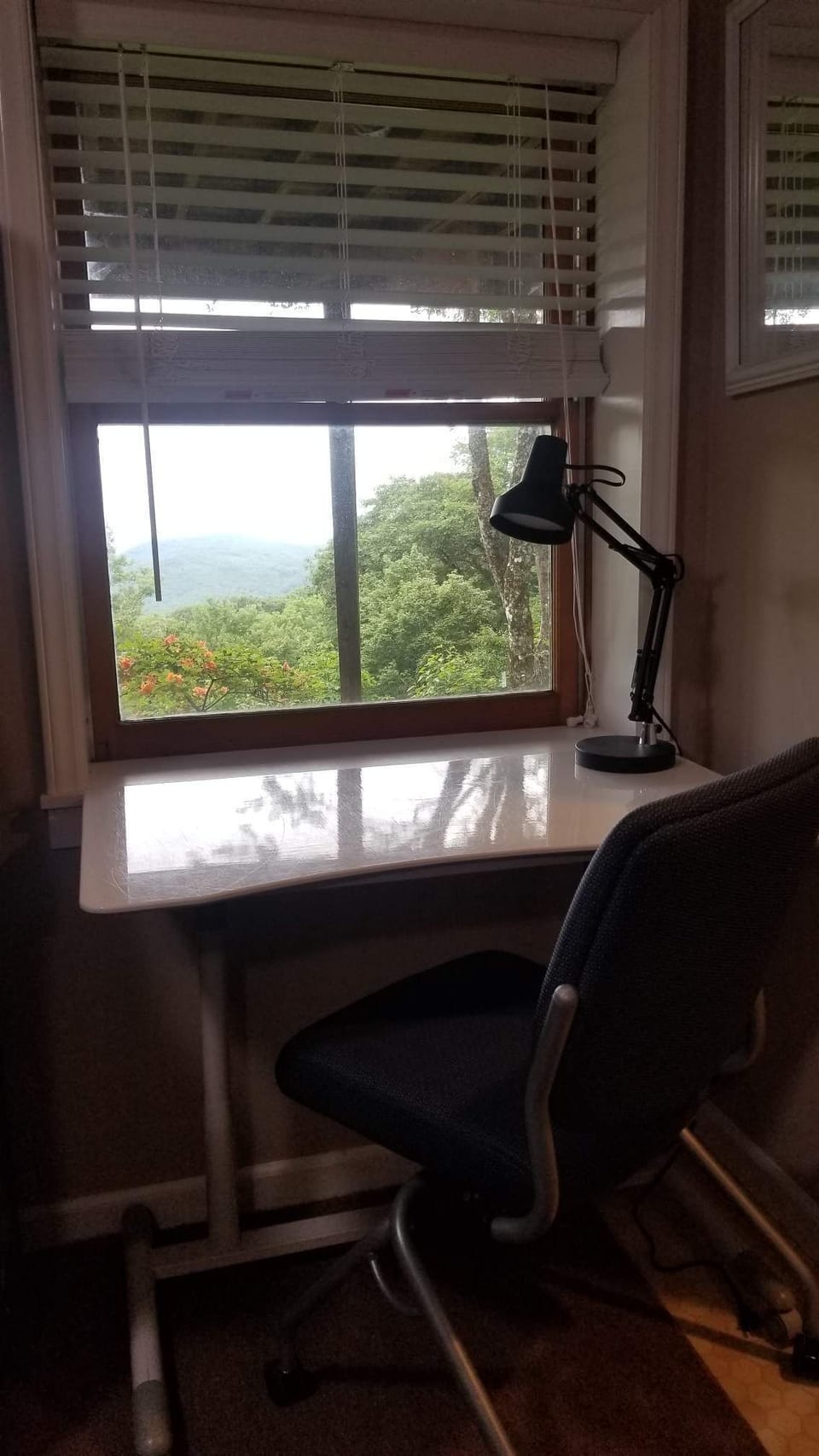 view from the remote workspace desk. has power strip and lamp