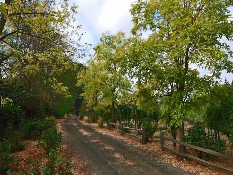 Private drive leading to main house.