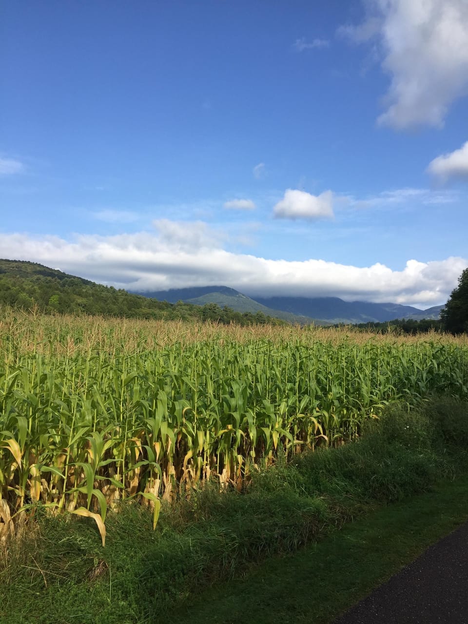 beautiful countryside: from Stowe recreation path