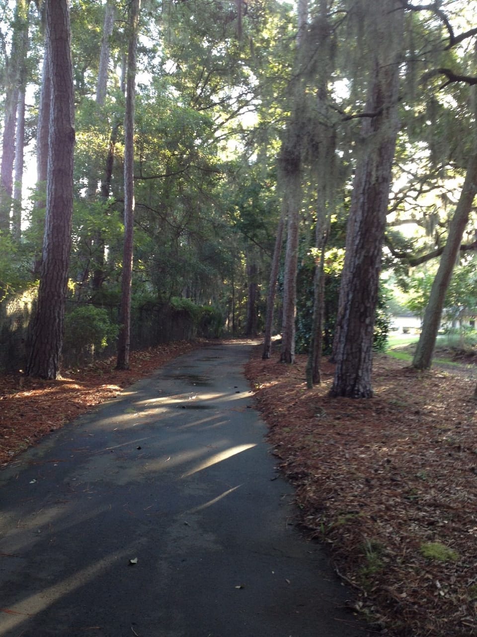 bike paths nearby