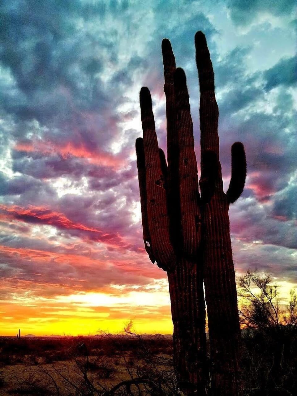 Beautiful sunsets!