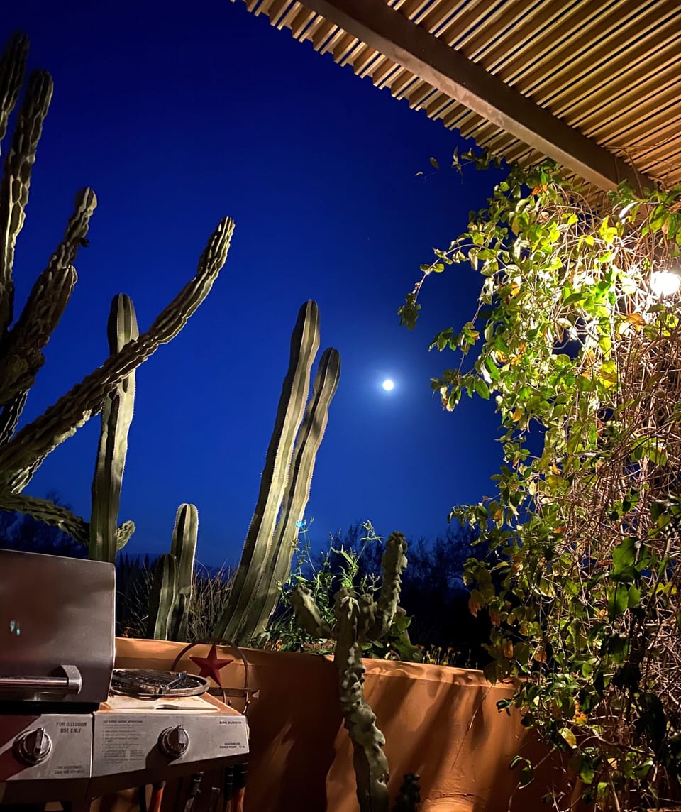 moon rise in the courtyard