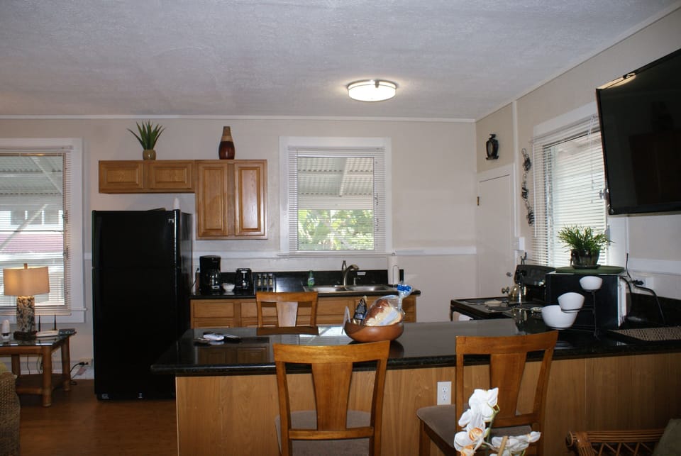 Kitchen, fully equipped and well stocked. 