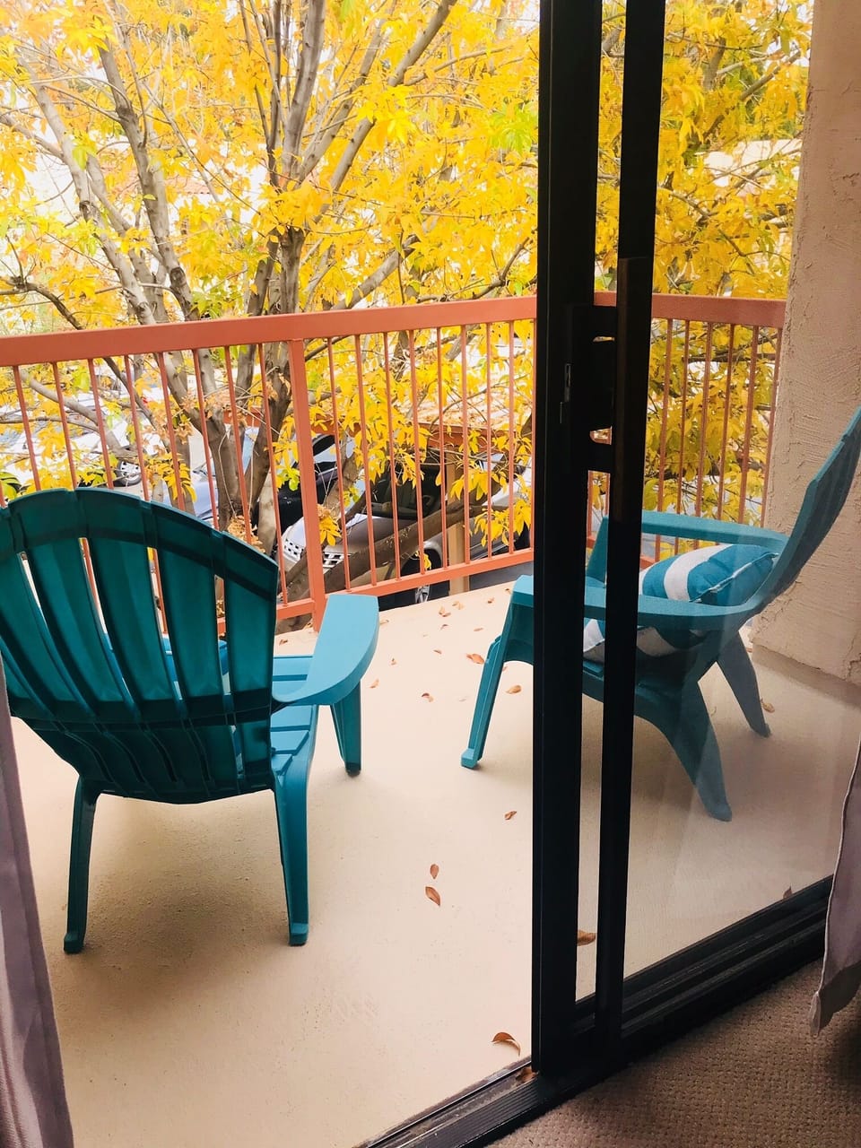 2nd patio off the master bedroom