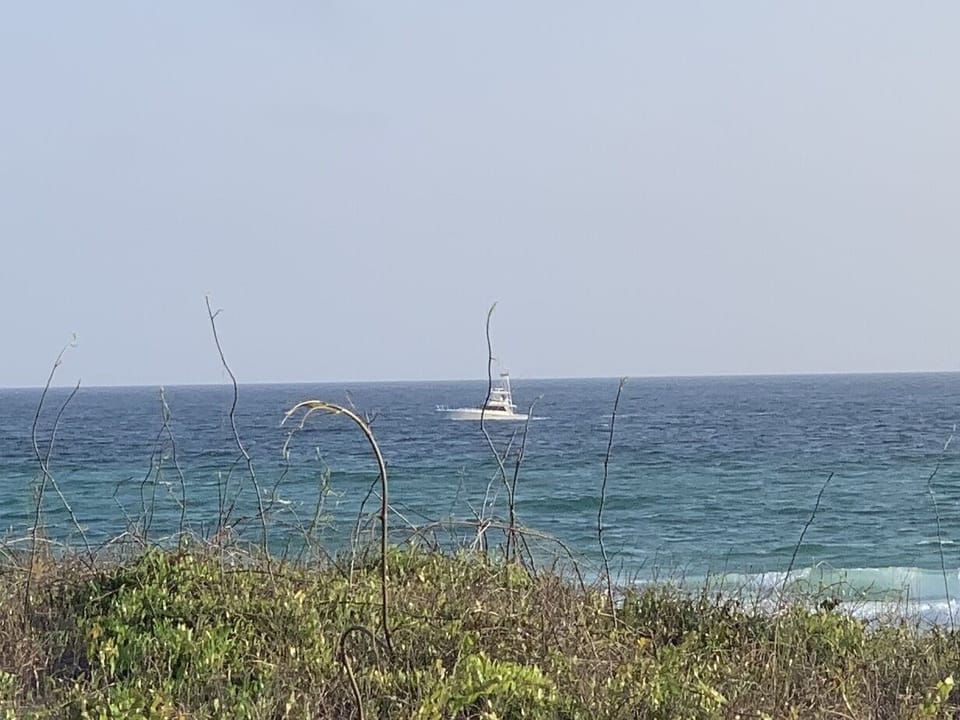 Perfect days at the beach!