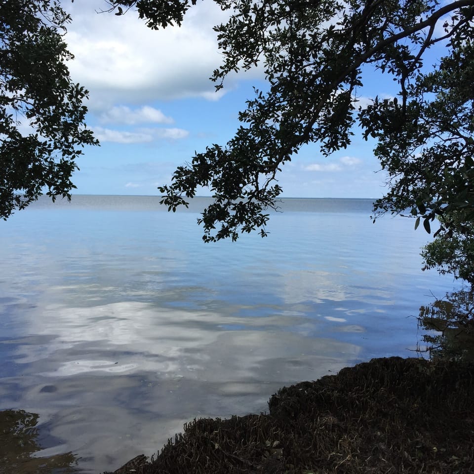 Robinson Preserve hiking and wildlife viewing