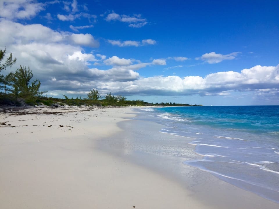 Walk the beach in either direction